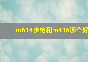 m614步枪和m416哪个好