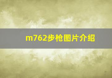 m762步枪图片介绍