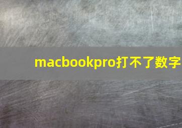 macbookpro打不了数字