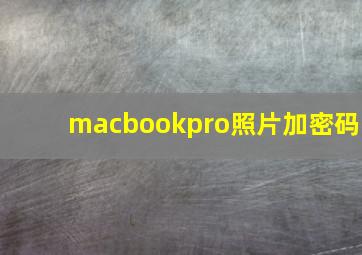 macbookpro照片加密码