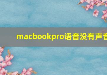 macbookpro语音没有声音