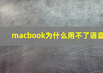 macbook为什么用不了语音