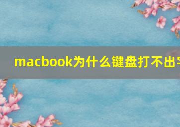 macbook为什么键盘打不出字