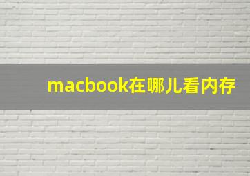 macbook在哪儿看内存