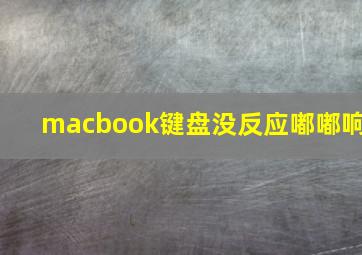 macbook键盘没反应嘟嘟响