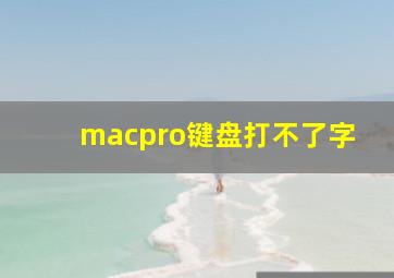 macpro键盘打不了字