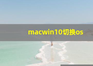 macwin10切换os