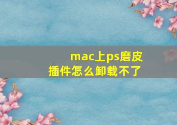 mac上ps磨皮插件怎么卸载不了