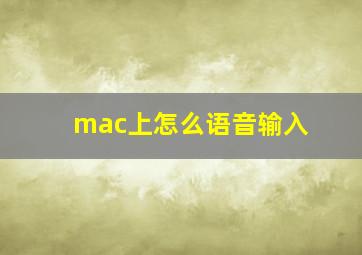 mac上怎么语音输入