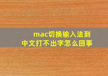 mac切换输入法到中文打不出字怎么回事