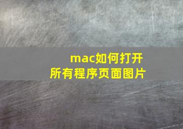 mac如何打开所有程序页面图片