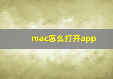 mac怎么打开app