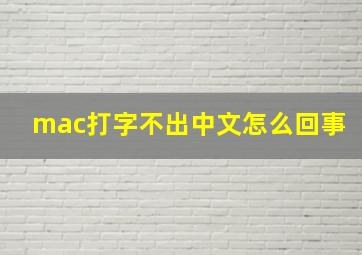 mac打字不出中文怎么回事