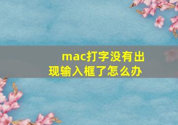 mac打字没有出现输入框了怎么办