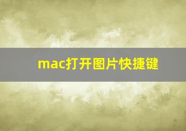 mac打开图片快捷键