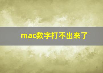 mac数字打不出来了