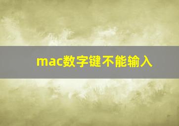 mac数字键不能输入