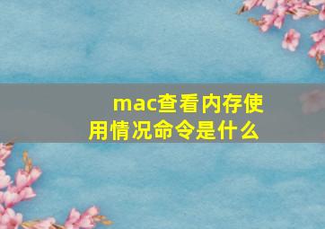 mac查看内存使用情况命令是什么