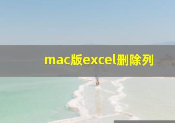 mac版excel删除列