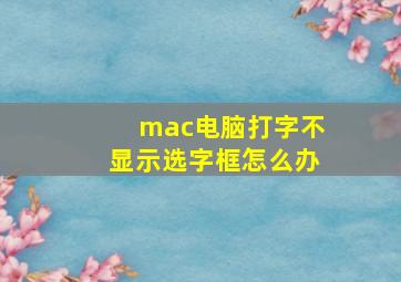 mac电脑打字不显示选字框怎么办