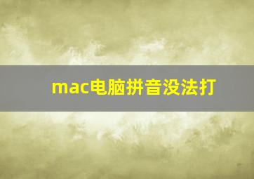 mac电脑拼音没法打