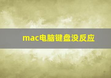 mac电脑键盘没反应