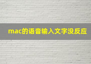 mac的语音输入文字没反应