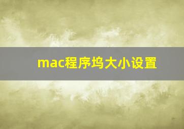 mac程序坞大小设置