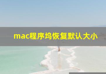 mac程序坞恢复默认大小