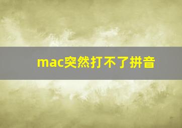 mac突然打不了拼音