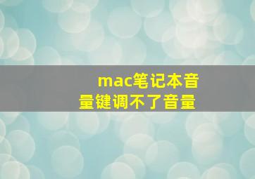 mac笔记本音量键调不了音量