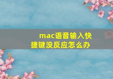 mac语音输入快捷键没反应怎么办