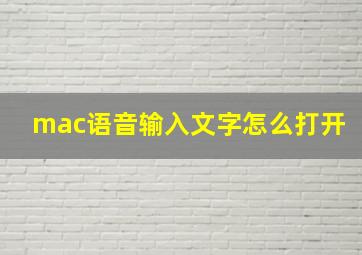 mac语音输入文字怎么打开