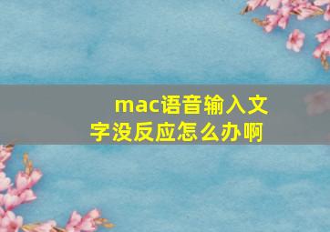 mac语音输入文字没反应怎么办啊