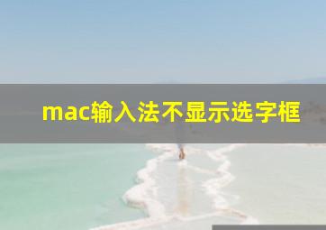 mac输入法不显示选字框