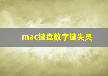 mac键盘数字键失灵