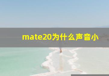 mate20为什么声音小