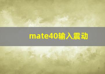 mate40输入震动