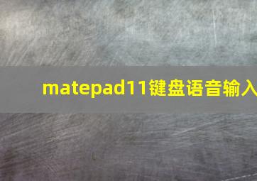 matepad11键盘语音输入