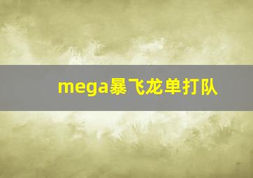 mega暴飞龙单打队