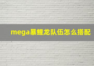 mega暴鲤龙队伍怎么搭配