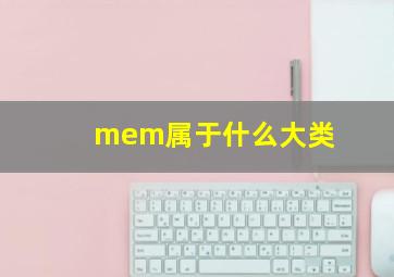 mem属于什么大类