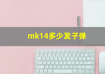 mk14多少发子弹