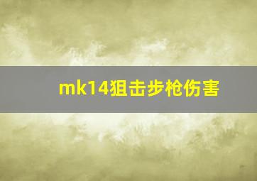 mk14狙击步枪伤害