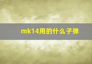 mk14用的什么子弹