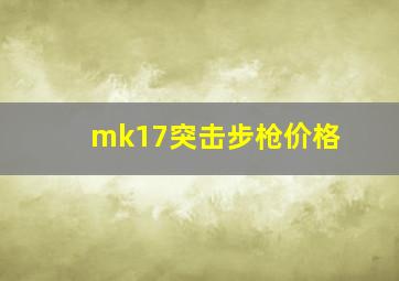 mk17突击步枪价格