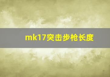 mk17突击步枪长度