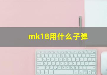 mk18用什么子弹