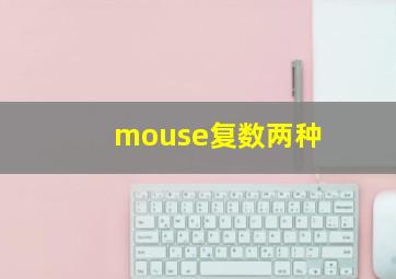 mouse复数两种