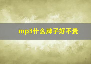 mp3什么牌子好不贵